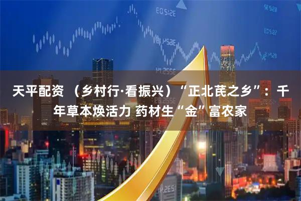 天平配资 (乡村行·看振兴)“正北芪之乡”:千年草本焕活力 药材生“金”富农家