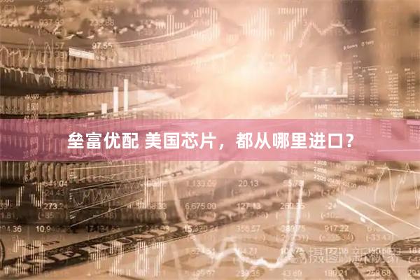 垒富优配 美国芯片,都从哪里进口?