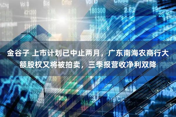 金谷子 上市计划已中止两月，广东南海农商行大额股权又将被拍卖，三季报营收净利双降