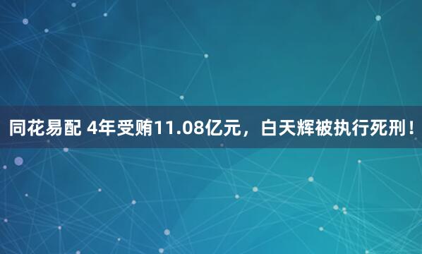 同花易配 4年受贿11.08亿元，白天辉被执行死刑！