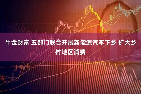 牛金财富 五部门联合开展新能源汽车下乡 扩大乡村地区消费